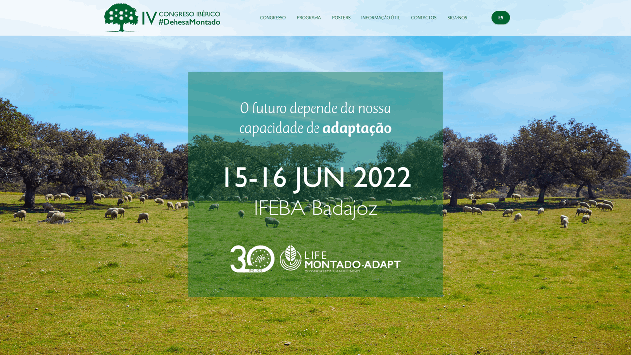 noticia